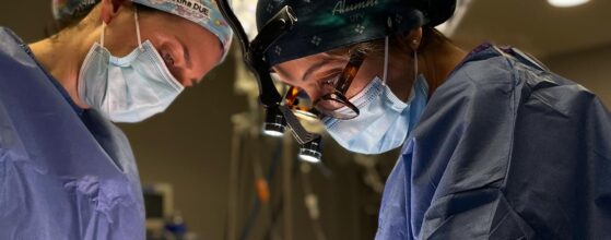 Postoperatorio Rinoplastia Ultrasónica