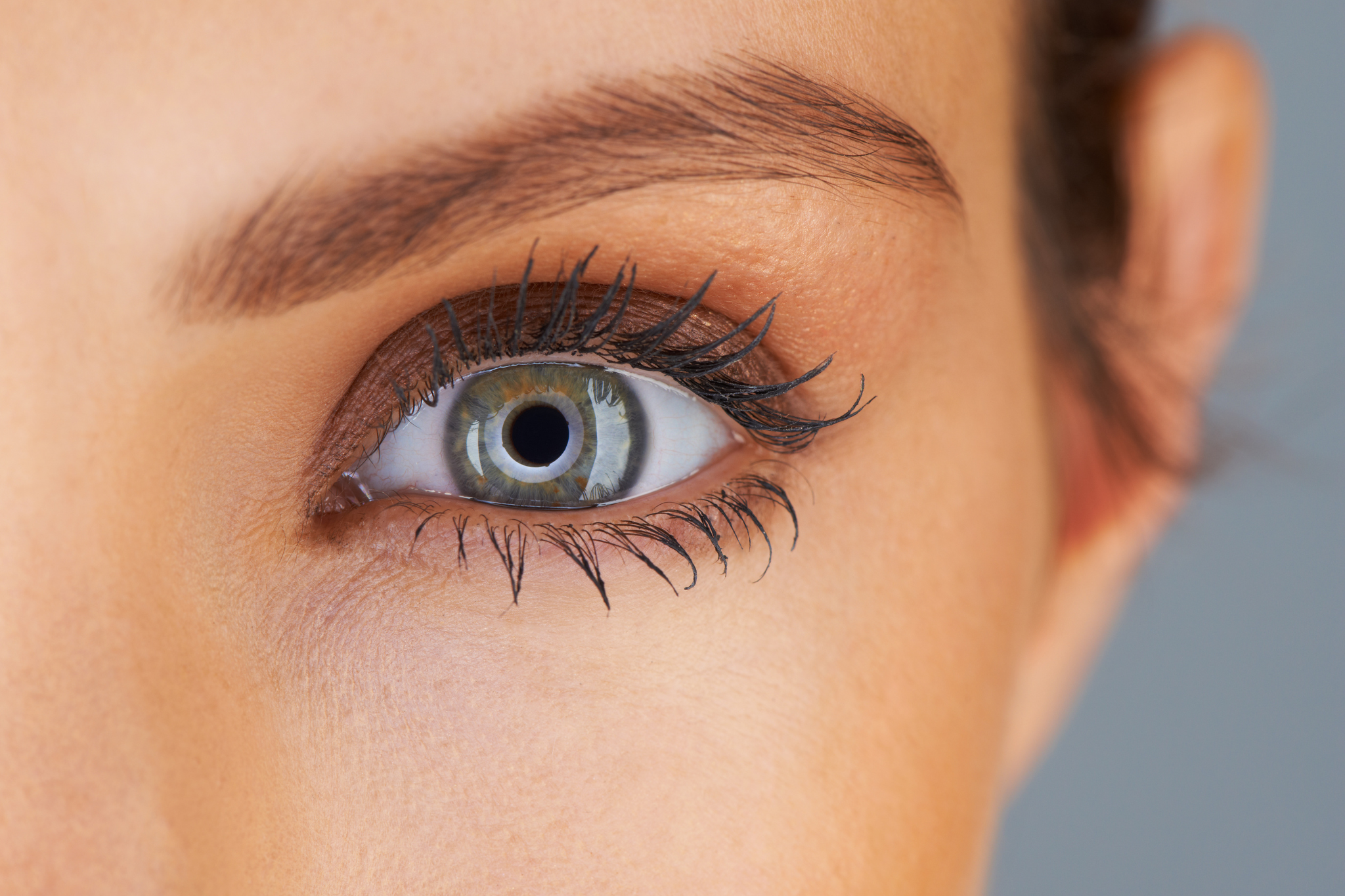 Foxy eyes: una mirada felina
